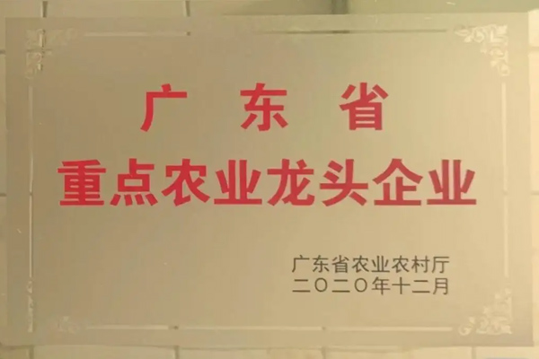 廣東省重點(diǎn)農(nóng)業(yè)龍頭企業(yè)申報(bào)，截止5月31日！