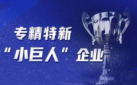 專精特新小巨人企業(yè)認(rèn)定有什么好處