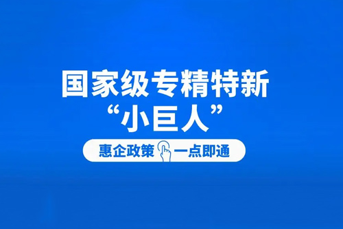 國(guó)家級(jí)專精特新小巨人企業(yè)政策