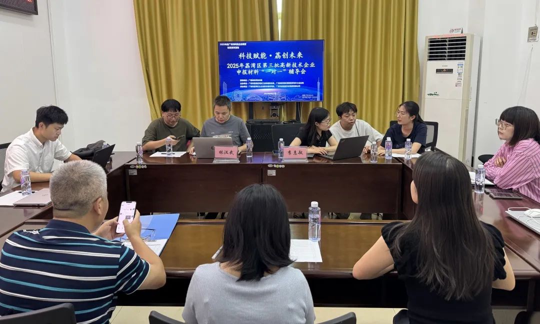 “1對(duì)1”精準(zhǔn)服務(wù) | 2025年荔灣區(qū)第三批高企申報(bào)輔導(dǎo)會(huì)圓滿舉辦