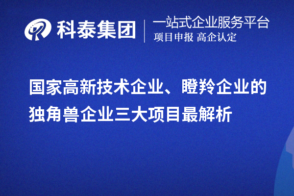 國家高新技術(shù)企業(yè)、瞪羚企業(yè)的獨角獸企業(yè)三大項目最解析