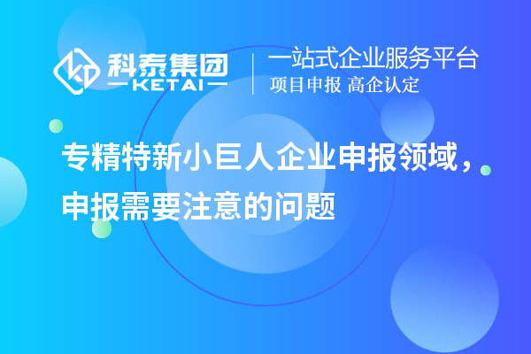 專精特新小巨人企業(yè)申報領(lǐng)域，申報需要注意的問題