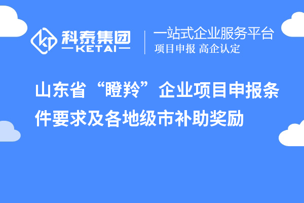 山東省“瞪羚”企業(yè)項(xiàng)目申報(bào)條件要求及各地級(jí)市補(bǔ)助獎(jiǎng)勵(lì)
