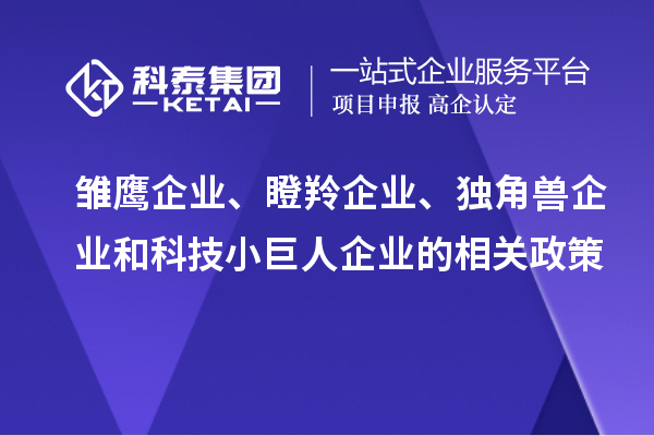 雛鷹企業(yè)、瞪羚企業(yè)、獨(dú)角獸企業(yè)和科技小巨人企業(yè)的相關(guān)政策