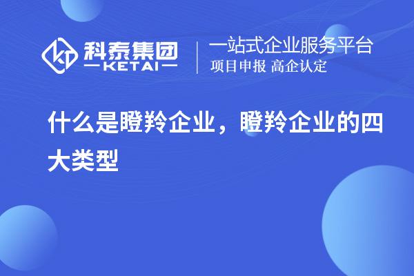 什么是瞪羚企業(yè)，瞪羚企業(yè)的四大類型
