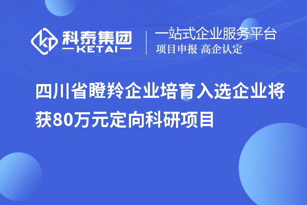 四川省瞪羚企業(yè)培育入選企業(yè)將獲80萬(wàn)元定向科研項(xiàng)目