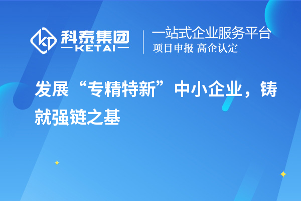 發(fā)展“專精特新”中小企業(yè)，鑄就強(qiáng)鏈之基