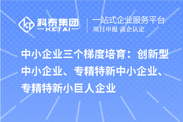 中小企業(yè)三個梯度培育：創(chuàng)新型中小企業(yè)、專精特新中小企業(yè)、專精特新小巨人企業(yè)