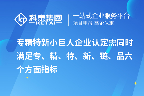 專精特新小巨人企業(yè)認(rèn)定需同時(shí)滿足專、精、特、 新、鏈、品六個(gè)方面指標(biāo)