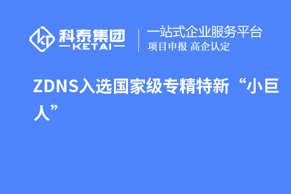 ZDNS入選國(guó)家級(jí)專精特新“小巨人”