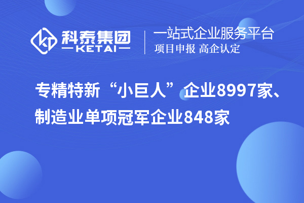 專精特新“小巨人”企業(yè)8997家、制造業(yè)單項冠軍企業(yè)848家