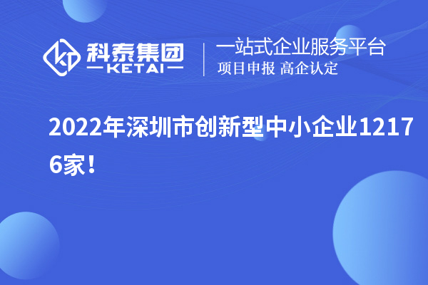 2022年深圳市創(chuàng)新型中小企業(yè)12176家！