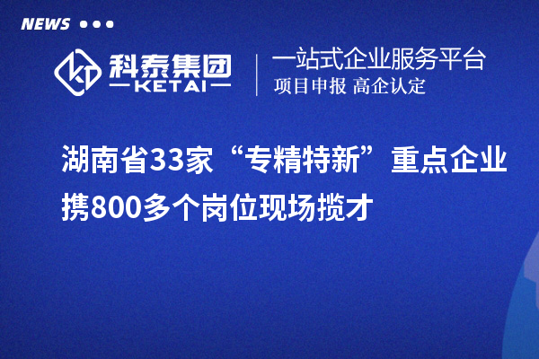 湖南省33家“專精特新”重點(diǎn)企業(yè)攜800多個(gè)崗位現(xiàn)場攬才