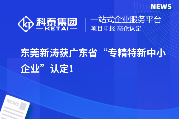 東莞新濤獲廣東省“專精特新中小企業(yè)”認(rèn)定!