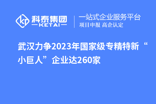武漢力爭2023年國家級專精特新“小巨人”企業(yè)達(dá)260家