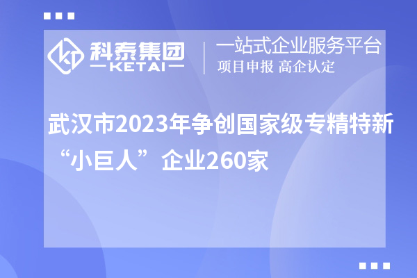 武漢市2023年?duì)巹?chuàng)國(guó)家級(jí)專(zhuān)精特新“小巨人”企業(yè)260家