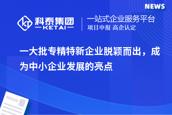 一大批專精特新企業(yè)脫穎而出，成為中小企業(yè)發(fā)展的亮點