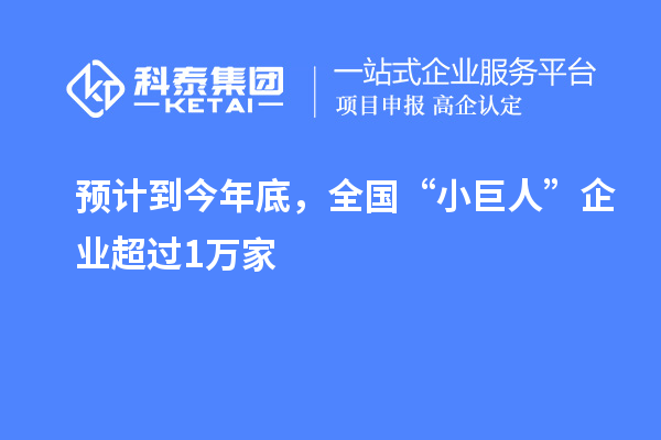 預(yù)計(jì)到今年底，全國(guó)“小巨人”企業(yè)超過(guò)1萬(wàn)家