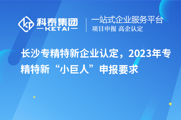 長(zhǎng)沙專精特新企業(yè)認(rèn)定，2023年專精特新“小巨人”申報(bào)要求