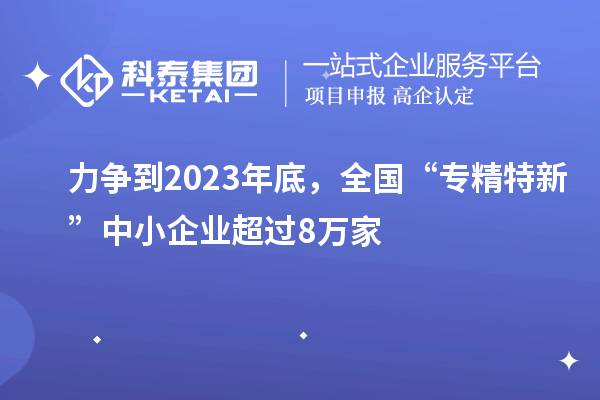 力爭到2023年底，全國“專精特新”中小企業(yè)超過8萬家