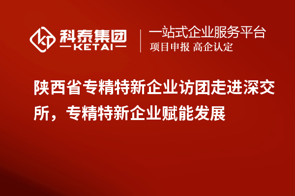 陜西省專精特新企業(yè)訪團走進深交所，專精特新企業(yè)賦能發(fā)展