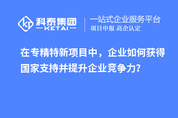 在專精特新項目中，企業(yè)如何獲得國家支持并提升企業(yè)競爭力？