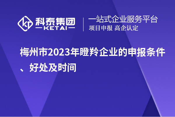 梅州市2023年瞪羚企業(yè)的申報條件、好處及時間
