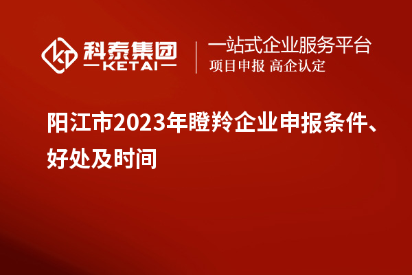 陽江市2023年瞪羚企業(yè)申報條件、好處及時間