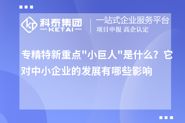 專精特新重點小巨人是什么？它對中小企業(yè)的發(fā)展有哪些影響