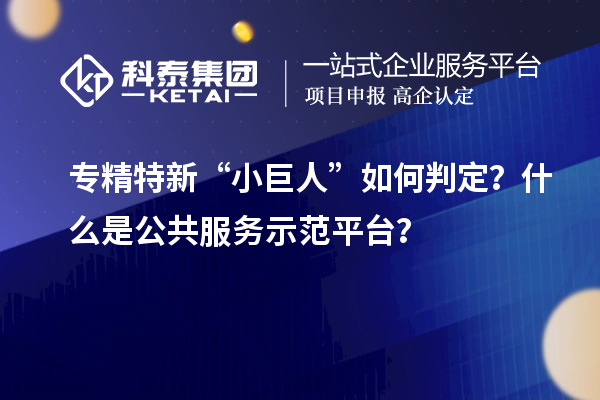 專精特新“小巨人”如何判定？什么是公共服務(wù)示范平臺(tái)？