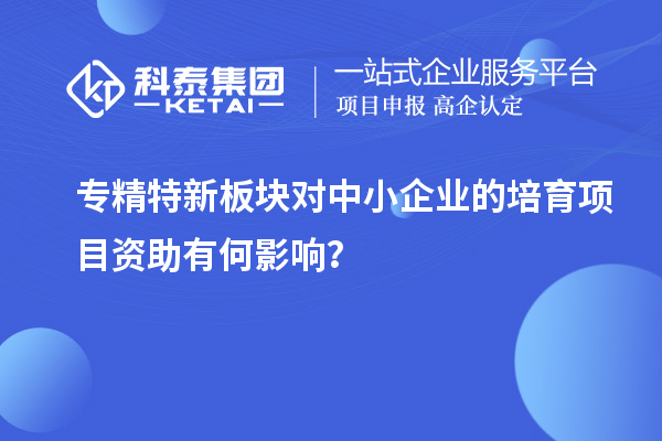 專精特新板塊對中小企業(yè)的培育項目資助有何影響？