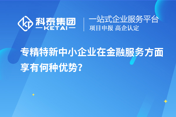 專精特新中小企業(yè)在金融服務(wù)方面享有何種優(yōu)勢?