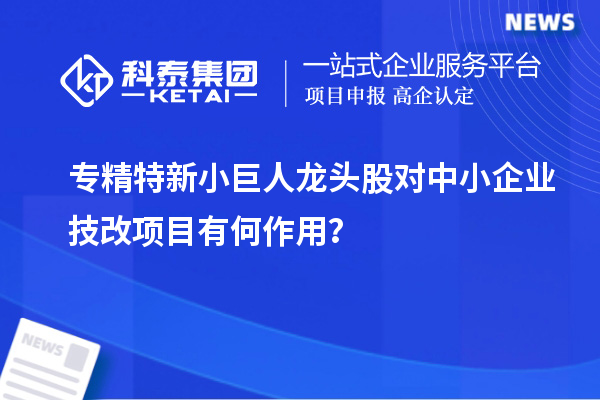 專精特新小巨人龍頭股對(duì)中小企業(yè)技改項(xiàng)目有何作用?