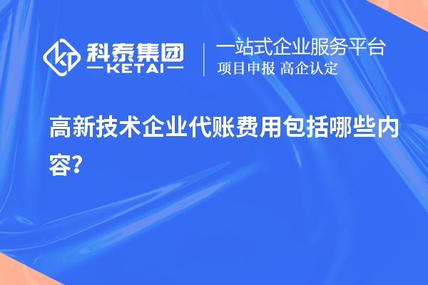 高新技術(shù)企業(yè)代賬費(fèi)用包括哪些內(nèi)容？
