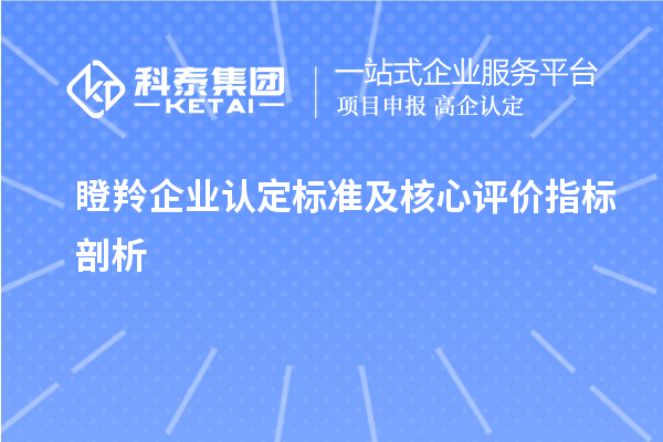<a href=http://www.0753rcw.com/fuwu/dengling.html target=_blank class=infotextkey>瞪羚企業(yè)認定</a>標準及核心評價指標剖析		 		