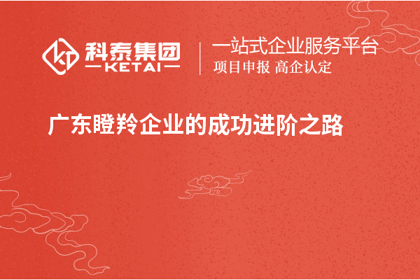 廣東瞪羚企業(yè)的成功進階之路