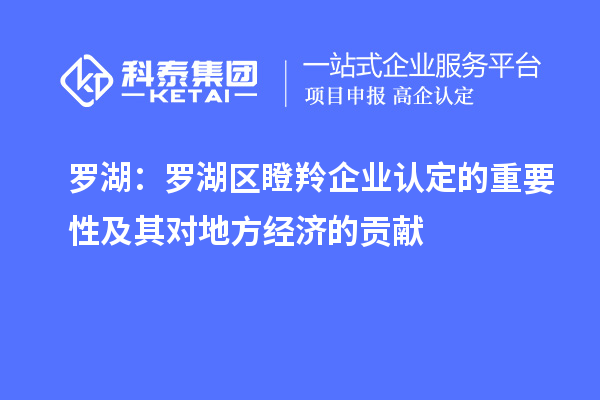 羅湖：羅湖區(qū)瞪羚企業(yè)認定的重要性及其對地方經濟的貢獻