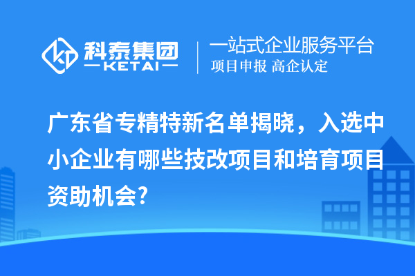 廣東省專精特新名單揭曉，入選中小企業(yè)有哪些技改項(xiàng)目和培育項(xiàng)目資助機(jī)會(huì)?