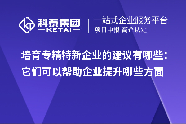 培育專精特新企業(yè)的建議有哪些:它們可以幫助企業(yè)提升哪些方面