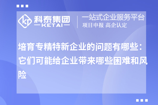 培育專精特新企業(yè)的問(wèn)題有哪些:它們可能給企業(yè)帶來(lái)哪些困難和風(fēng)險(xiǎn)
