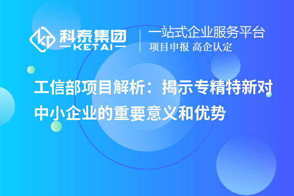 工信部項目解析：揭示專精特新對中小企業(yè)的重要意義和優(yōu)勢