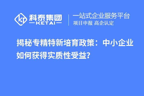 揭秘專精特新培育政策：中小企業(yè)如何獲得實(shí)質(zhì)性受益？