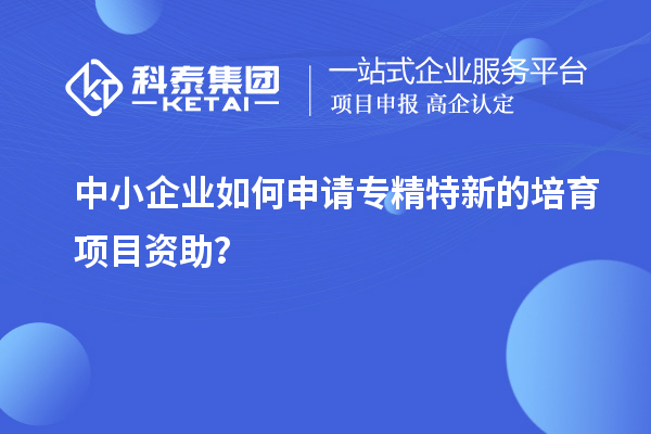 中小企業(yè)如何申請(qǐng)專(zhuān)精特新的培育項(xiàng)目資助？