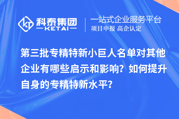 第三批專精特新小巨人名單對其他企業(yè)有哪些啟示和影響？如何提升自身的專精特新水平？