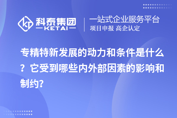專精特新發(fā)展的動力和條件是什么？它受到哪些內(nèi)外部因素的影響和制約？