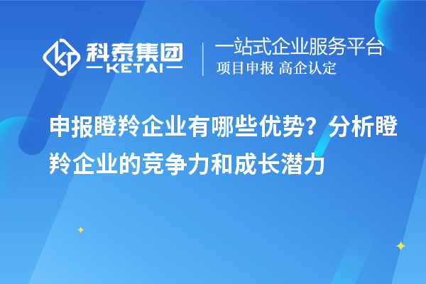 申報瞪羚企業(yè)有哪些優(yōu)勢？分析瞪羚企業(yè)的競爭力和成長潛力