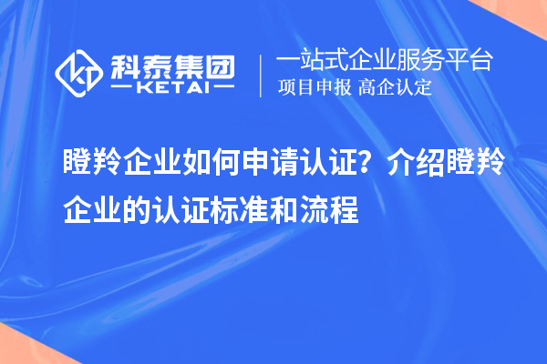 瞪羚企業(yè)如何申請認證？介紹瞪羚企業(yè)的認證標準和流程