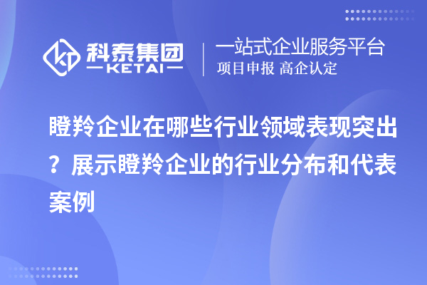 瞪羚企業(yè)在哪些行業(yè)領(lǐng)域表現(xiàn)突出？展示瞪羚企業(yè)的行業(yè)分布和代表案例