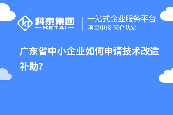 廣東省中小企業(yè)如何申請(qǐng)技術(shù)改造補(bǔ)助?