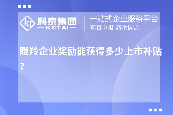 瞪羚企業(yè)獎勵能獲得多少上市補貼？